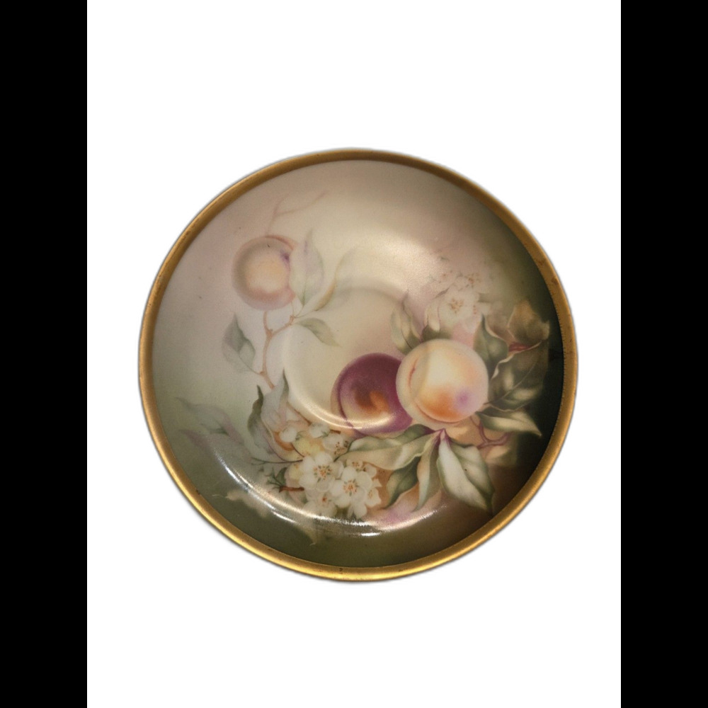 Antique Thomas Sevres Bavaria Hand Painted Porcelain Plate, Alhambra Design